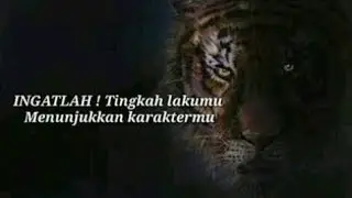 Kata Kata Bijak Terbaru Renungan Sang Macan Putih
