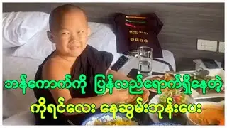 🙏  ဘန်ကောက်ကို  ပြန်လည်ရောက်ရှိနေတဲ့ ကိုရင်လေး နေဆွမ်းဘုန်းပေး
