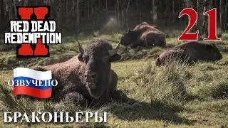 Red Dead Redemption 2 ПРОХОЖДЕНИЕ С РУССКОЙ ОЗВУЧКОЙ #21 Браконьеры