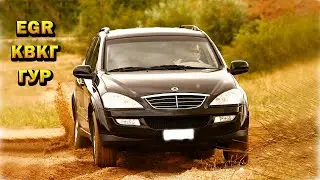 SsangYong Kyron D20DT легкое ТО моей машины