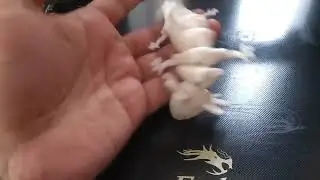 Unboxing and Assembling Creality Ender 3 pro v2