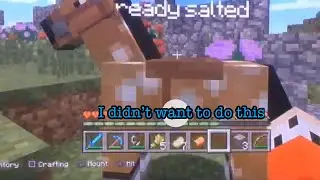 old town road but with my minecraft horse