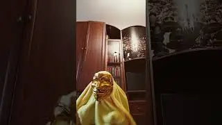 снюсоед #снюсоеды #анонимус #залетипж