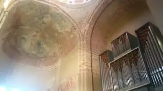 Концерт в Пицундском храме. Орган и скрипка. Абхазия 2016