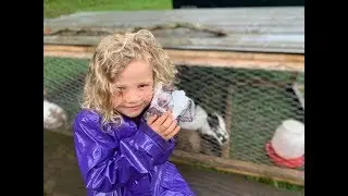 How to Raise, Butcher and Make Rabbit Jerkey