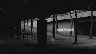 Stray Point | Nova Vita Live Set
