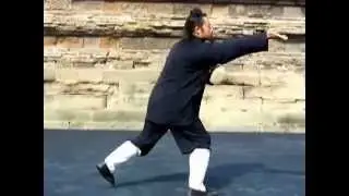 Wudang Kungfu Demonstration by Master Zhang Jiali