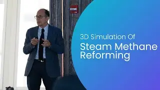 3D Simulation of the Sorption-Enhanced Steam Methane Reforming Process in a Dual Fluidized Bed