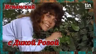 Испанский по сериалу "Дикая Роза" (6). Роза перепутала Рикардо и его брата.