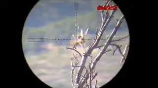 One Shot ! two sparrows !!