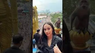 62. Главная достопримечательность Малайзии. Пещеры Бату.