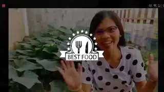 Kalabasa | Squash Introducing A-Gader Farm Land at Agri-KULTURA