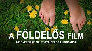 A Földelős Film - 2019