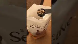 My Pets Tiktok  marley the bun