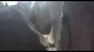 My Terrible Disney Stunt