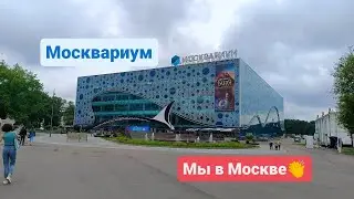 Москвариум - огромный океанариум в Москве! Мы в восторге))#москвариум#океанариум#москва
