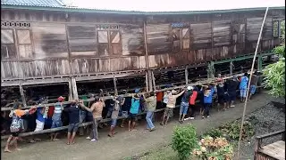 UNIQUE ! The tradition of the Bugis Sengkang to raise a common house, Wajo, South Sulawesi Indonesia