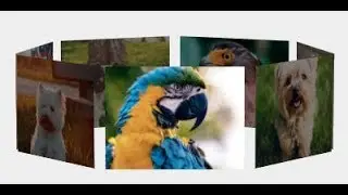 How to Capture 3D Photo on Android Phone