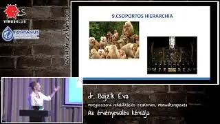Az érvényesülés kémiája | dr. Bajzik Éva