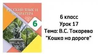 Русский язык 6 класс Урок 17 Тема: В.С.Токарева 