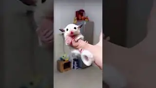 cutest creature ever on Internet #video #2025