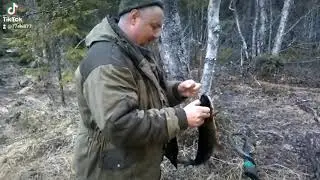 КАРЕЛИЯ ВЕСНА