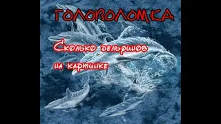 ГОЛОВОЛОМКА СКОЛЬКО ДЕЛЬФИНОВ НА КАРТИНКЕ