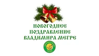 НОВОГОДНЕЕ ПОЗДРАВЛЕНИЕ ВЛАДИМИРА МЕГРЕ * VK.COM/VMEGRE
