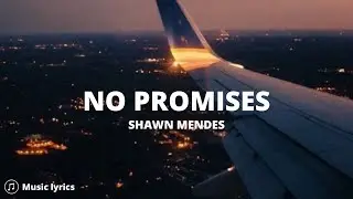 Shawn Mendes - No Promises (Lyrics)