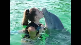 Haley's dream.....mermaids & dolphins ( original ) //  collab with Bruce Rutherford & Daniel