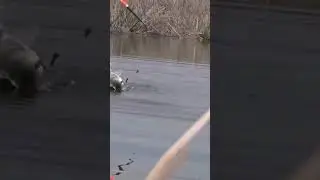 РИБАЛКА НА ПОПЛАВОК