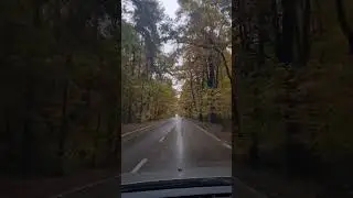 Respect #shorts Autumn road #road #trip #autumn #leaves #forest
