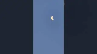 Todays moon