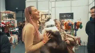 выставка собак Нижний Новгород