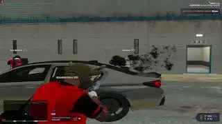 Лютики GTA 5 RP RICHMAN