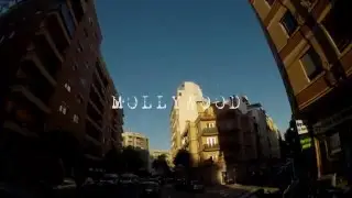 Lifestyle vol. III Mollywood