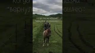 ❤️#лошади#конныйспорт#моялюбовь#рекомендации#подпишись#мояжизнь