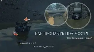 КАК ПРОПЛЫТЬ ПОД МОСТ?! В WC:UE! | Warrior Cats: Ultimate Edition - Roblox