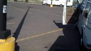 Anal Ant Unmasked!!!!!!!!!!!