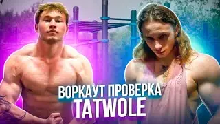 Workout Tatvol Check