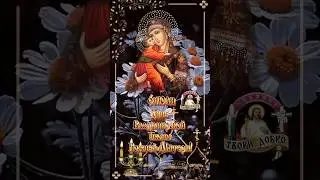 6 июля День Владимирской Иконы Божией Матери🕊️