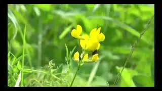 Про детство. Сергей Арно