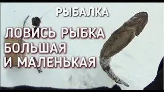 Рыболовная верша-паук, девять входов