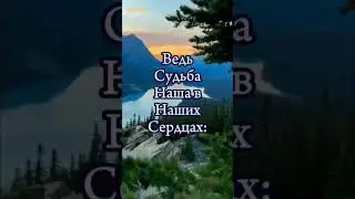 5 июня 2024 г.