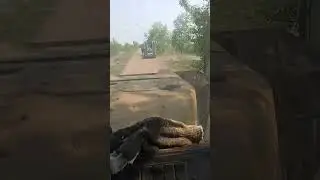 26 мая 2023 г.