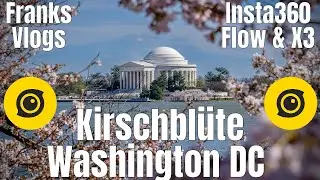 Insta360 Flow und der Insta360 X3 Cherry Blossom 🌸 Kirschblüte 🌸  in Washington DC  🌸