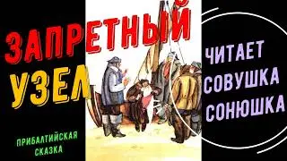Запретный узел
