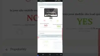 manta website optimization