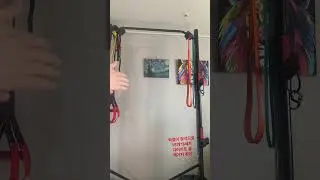 두루의 백가지 취미 /턱걸이