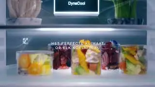 Miele koelkasten met DynaCool | Geniet van een blijvende versheid